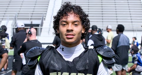 2029 DB Aceyn Cherry.jpg
