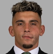 player headshot