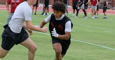 2029 OK DB Aceyn Cherry1.jpg