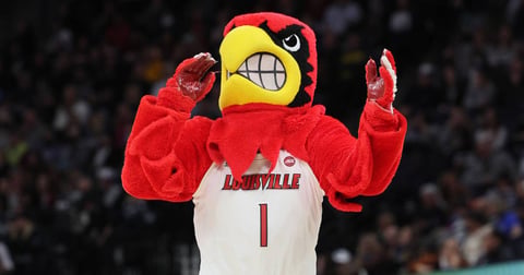 Louisville leads men's basketball programs in cost of buy game losses