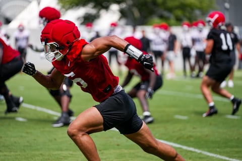 Transfer Report: How Georgia additions, subtractions have fared