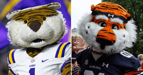 LSU at Auburn Polymarket odds: Opening point spread revealed, how to watch