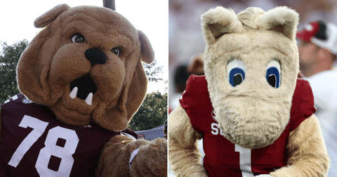 Oklahoma at Mississippi State Polymarket odds: Opening point spread revealed, how to watch
