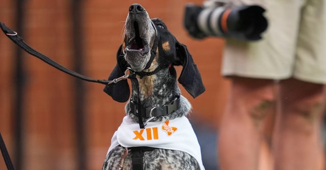 Updating ESPN's game-by-game picks for Tennessee football after win over Auburn