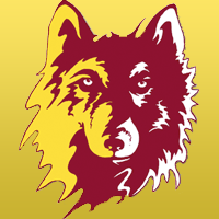 northern state wolves Avatar
