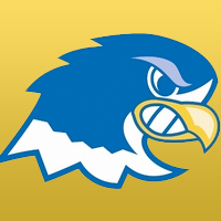 notre dame college falcons Avatar