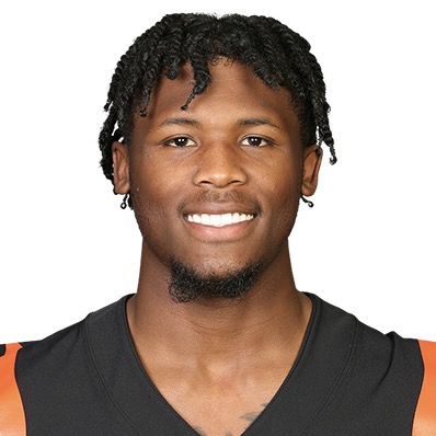 Tee Higgins: Cincinnati Bengals receiver, Clemson football, Oak