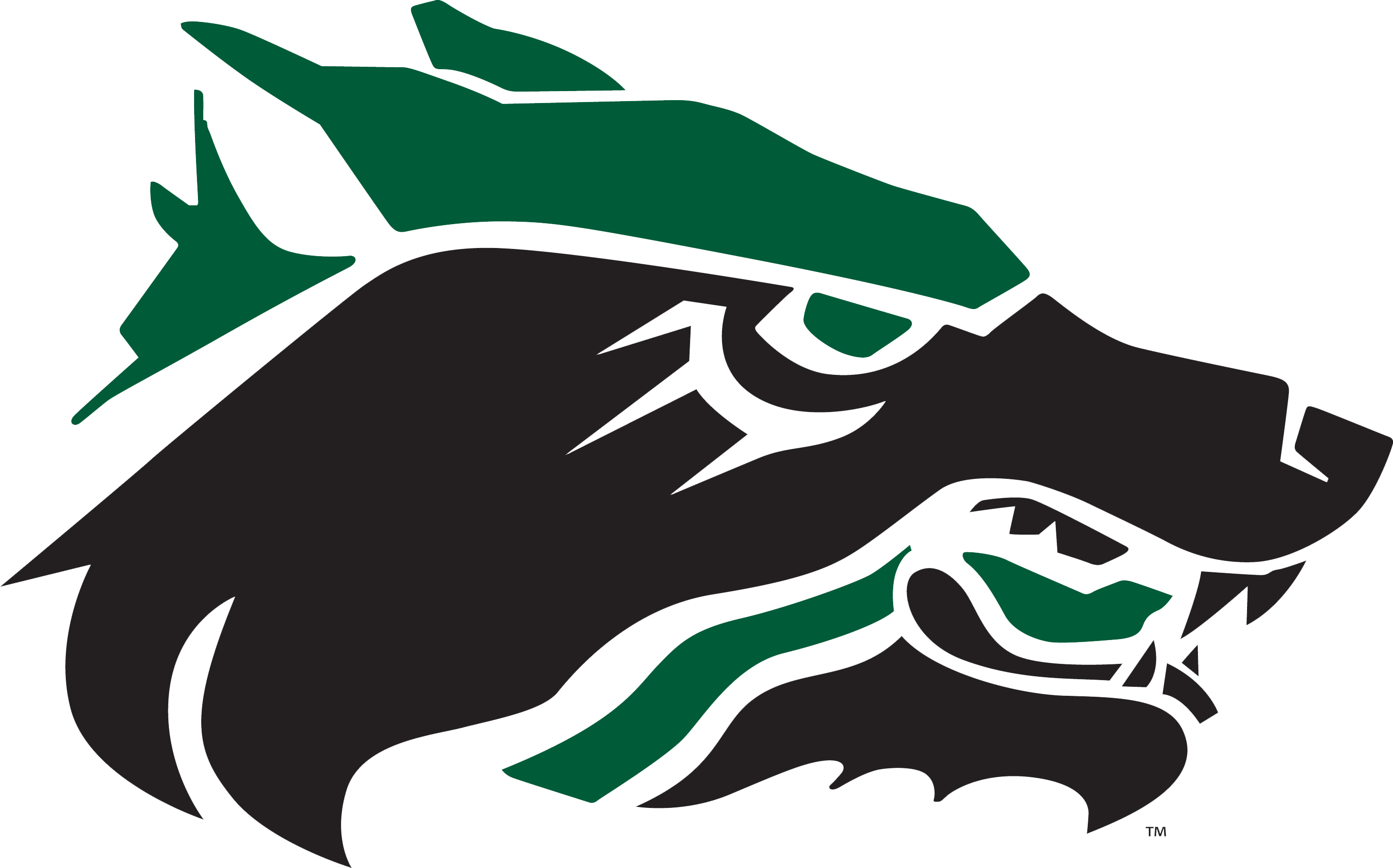 Cedar Park Football Schedule