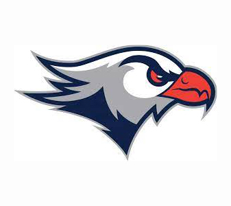 lackawanna cc falcons lackawanna cc falcons Avatar