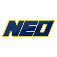 northeastern oklahoma am golden norsemen Avatar