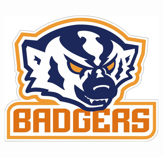 snow badgers Avatar