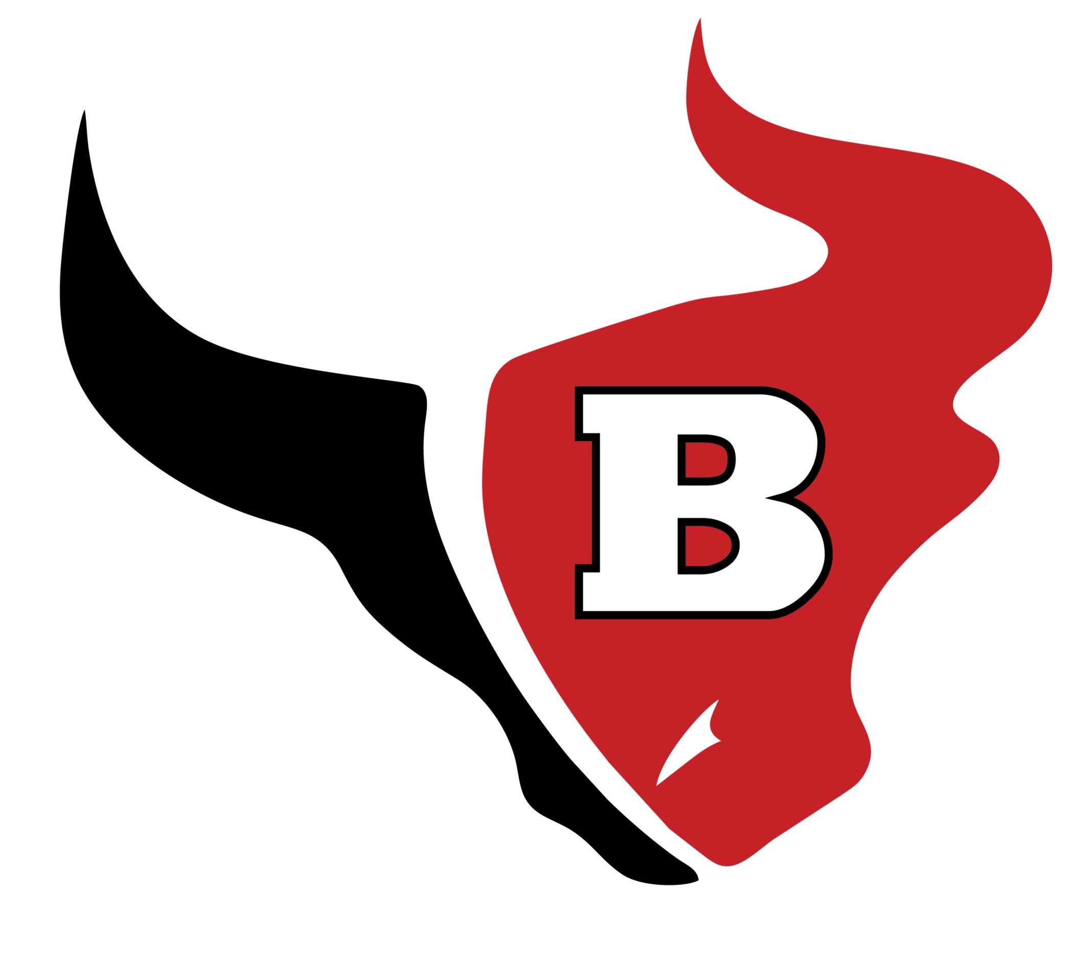 Bloomingdale Bulls Avatar