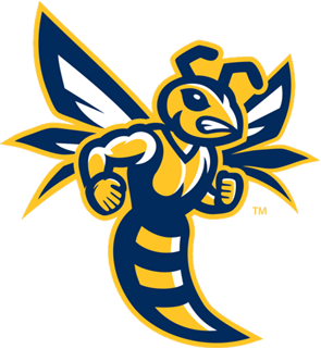 Emory & Henry College Avatar