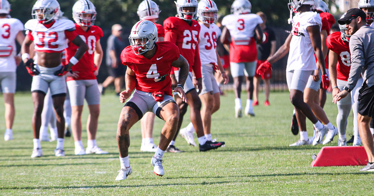 Julian Fleming Ohio State receiver done with injury battles, eager to play