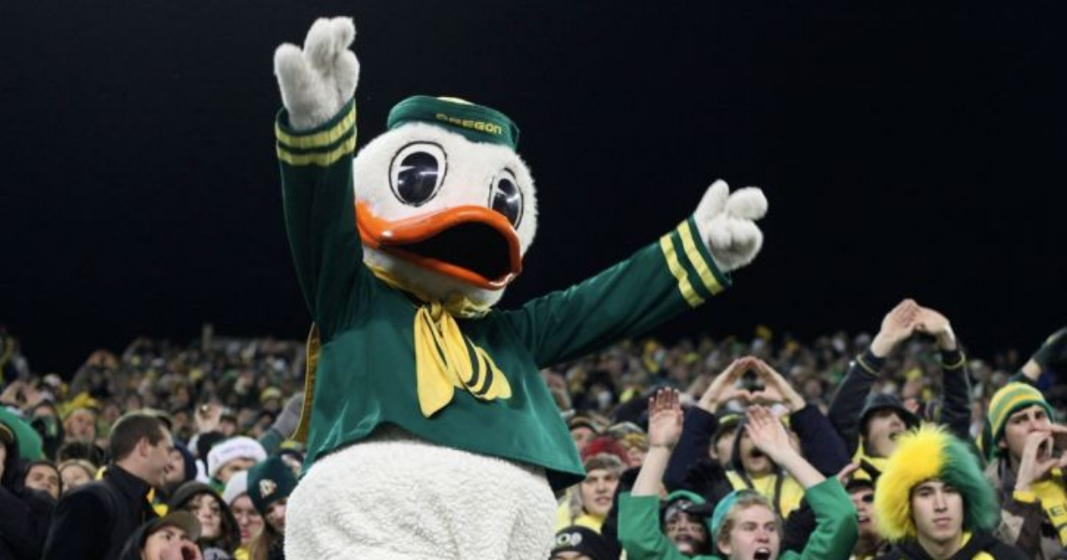 scoop duck scoop duck