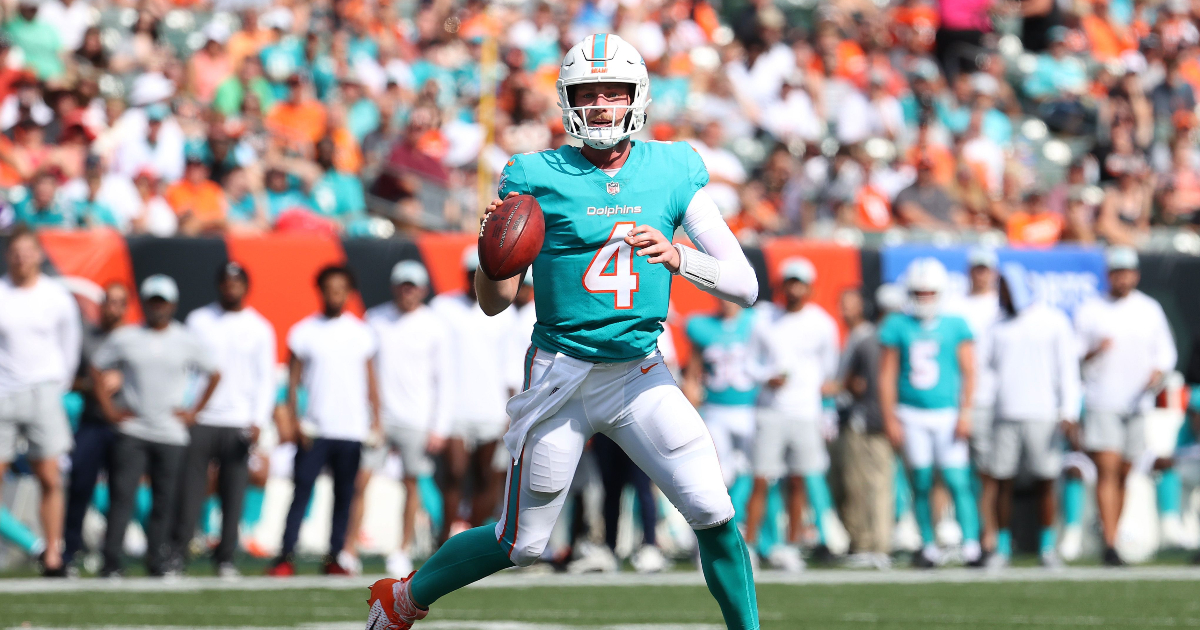 3,673 Miami Dolphins Fan Stock Photos, High-Res Pictures, and Images -  Getty Images