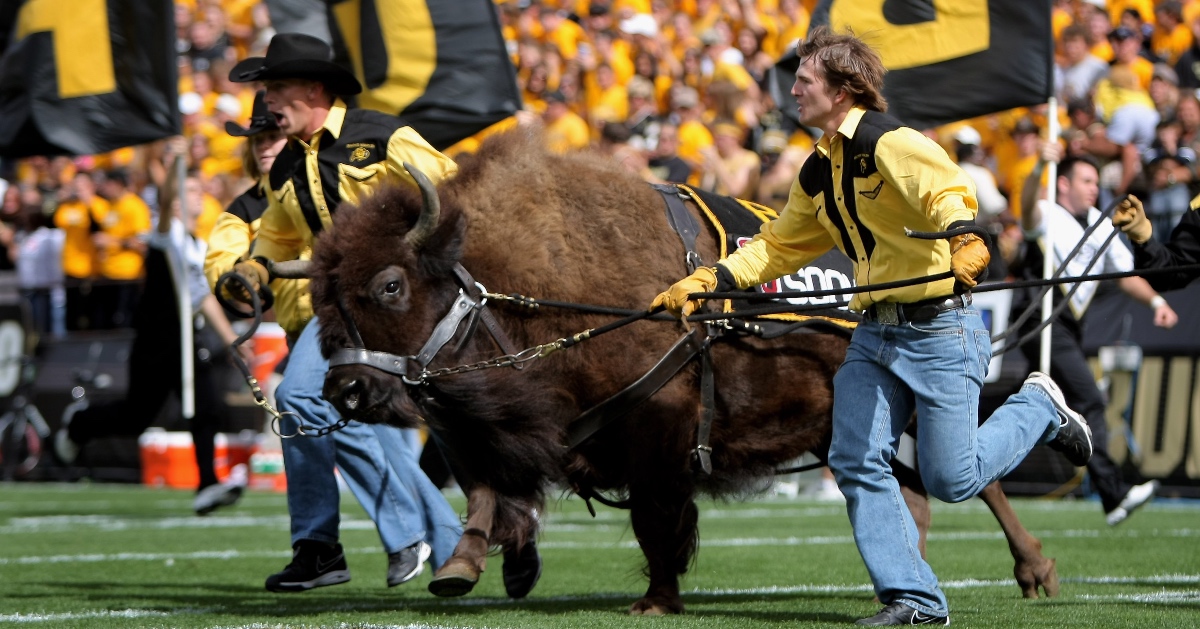 WATCH: Chris Fowler introduces Ralphie VI, set to make Colorado debut on Friday