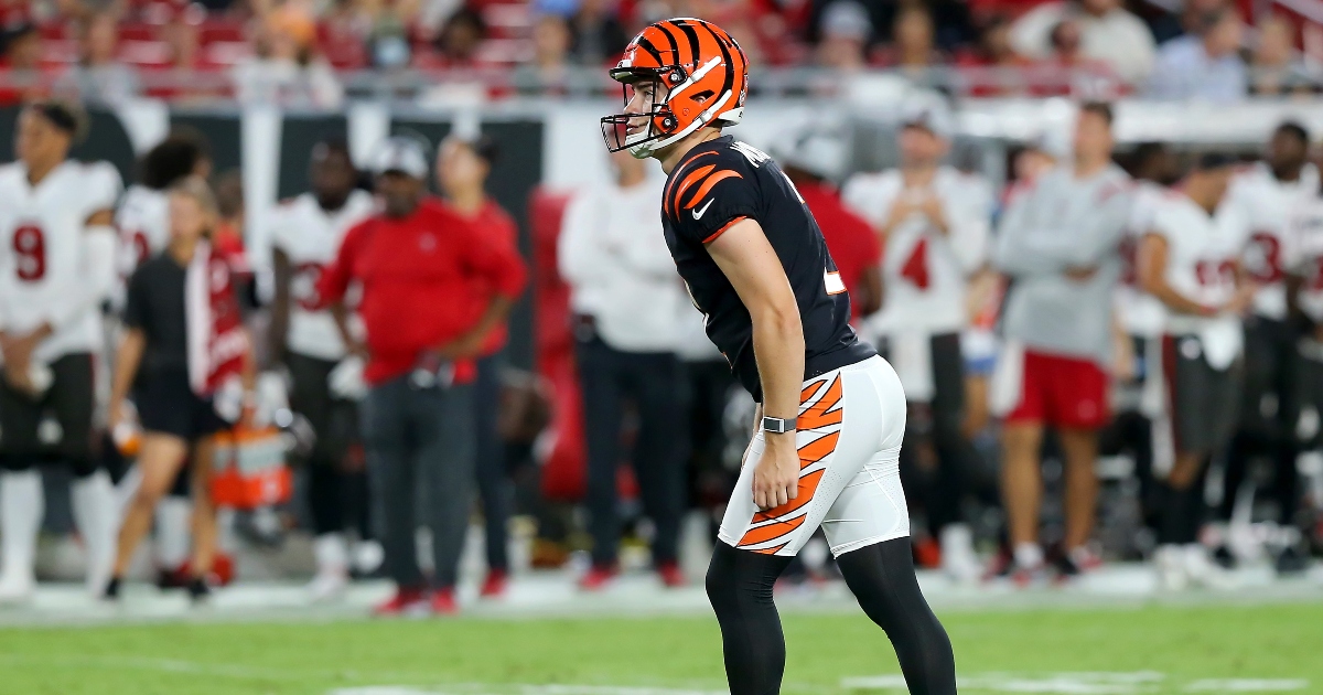 McPherson's 33-yard kick lifts Bengals over Vikings in OT