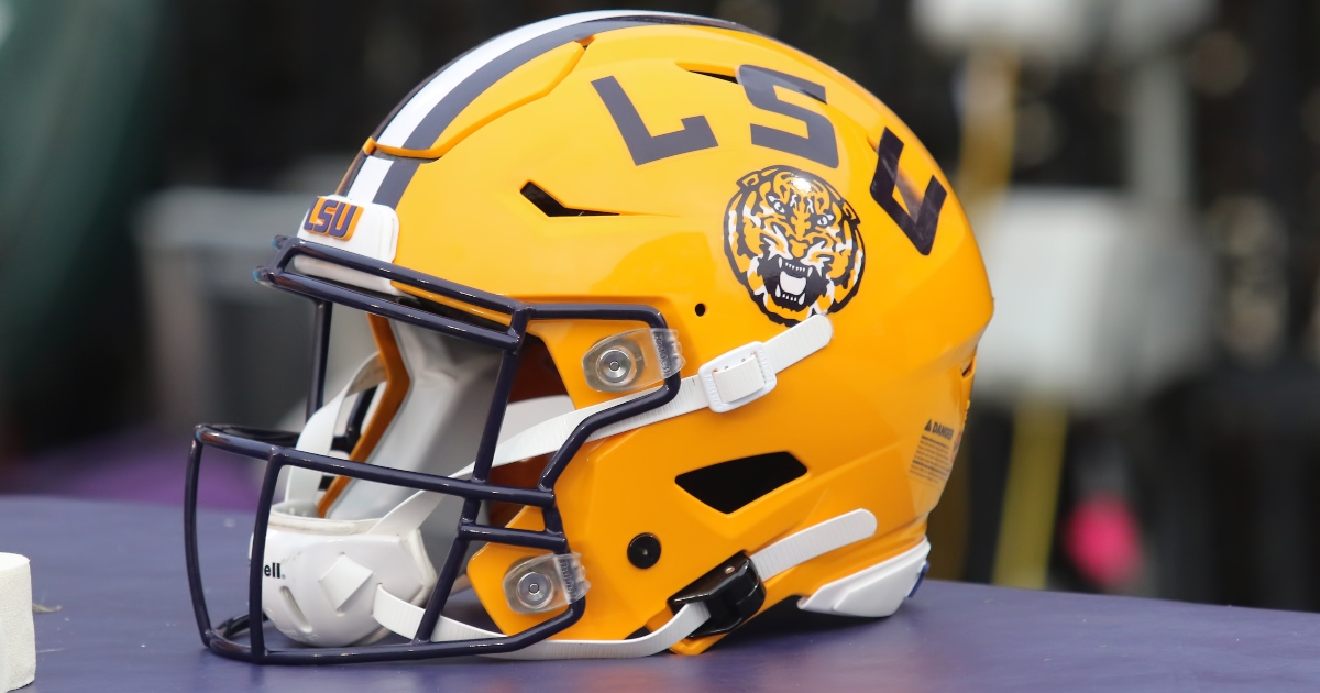 Q&A Shea Dixon of The Bengal Tiger