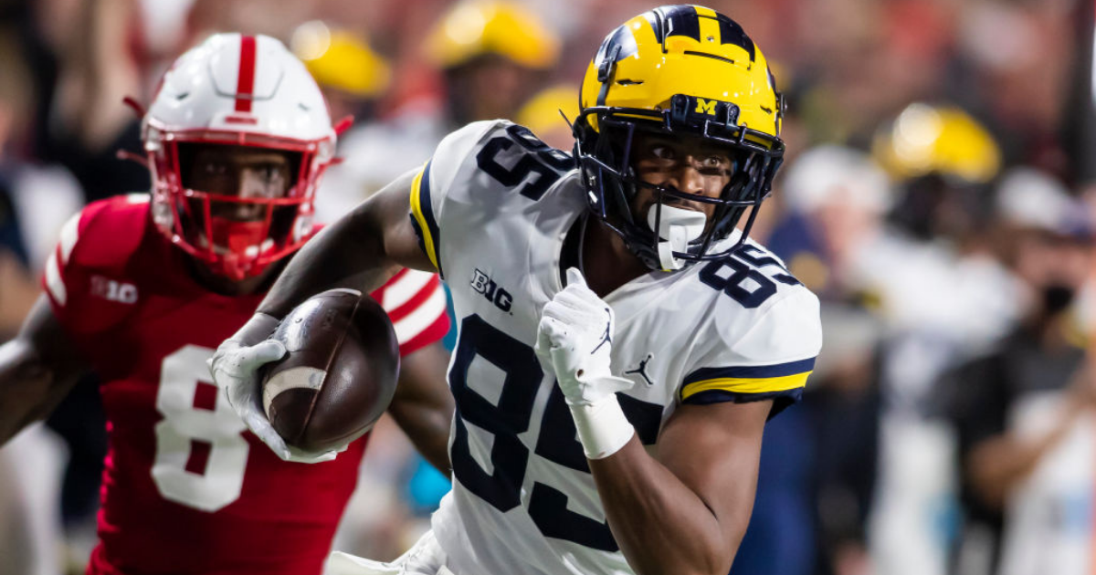 2021 NFL Draft Profile: What Michigan WR Nico Collins brings to the