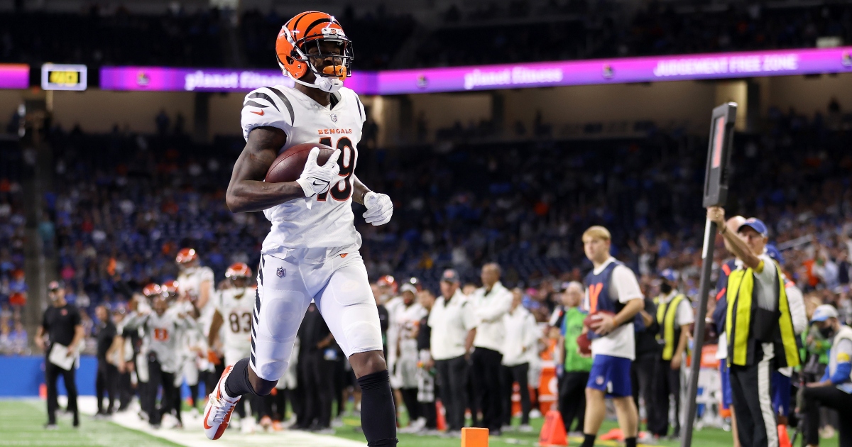 NFL draft: FSU and Wharton High product Auden Tate joins the Bengals