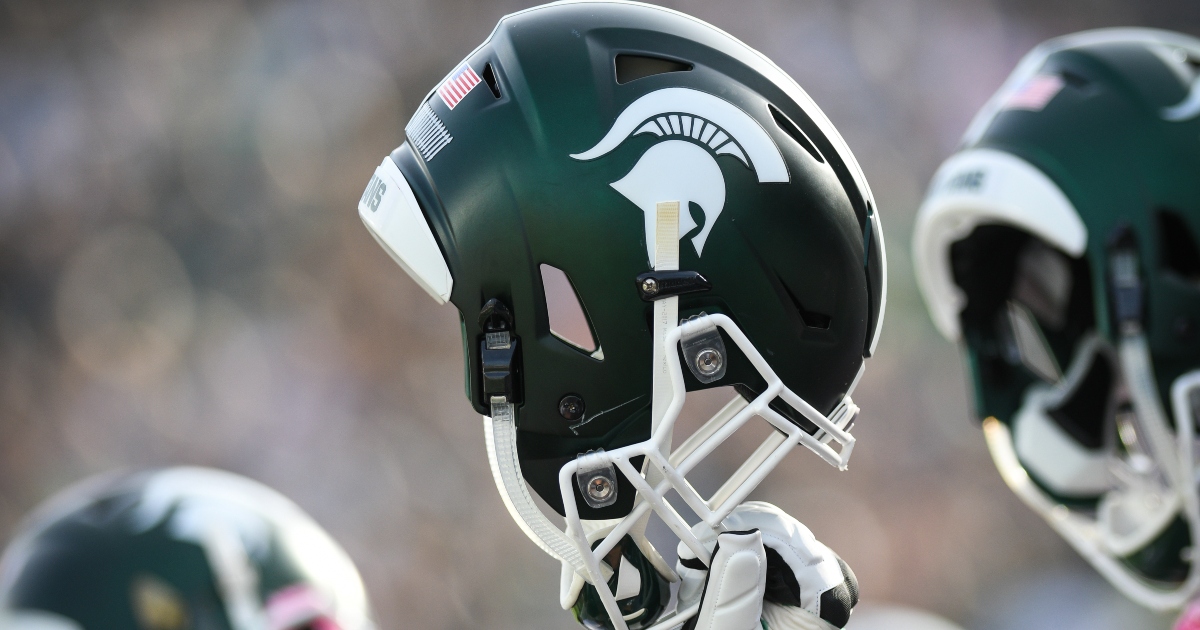 Logo Brands Michigan State Spartans Football in the Sports Equipment  department at