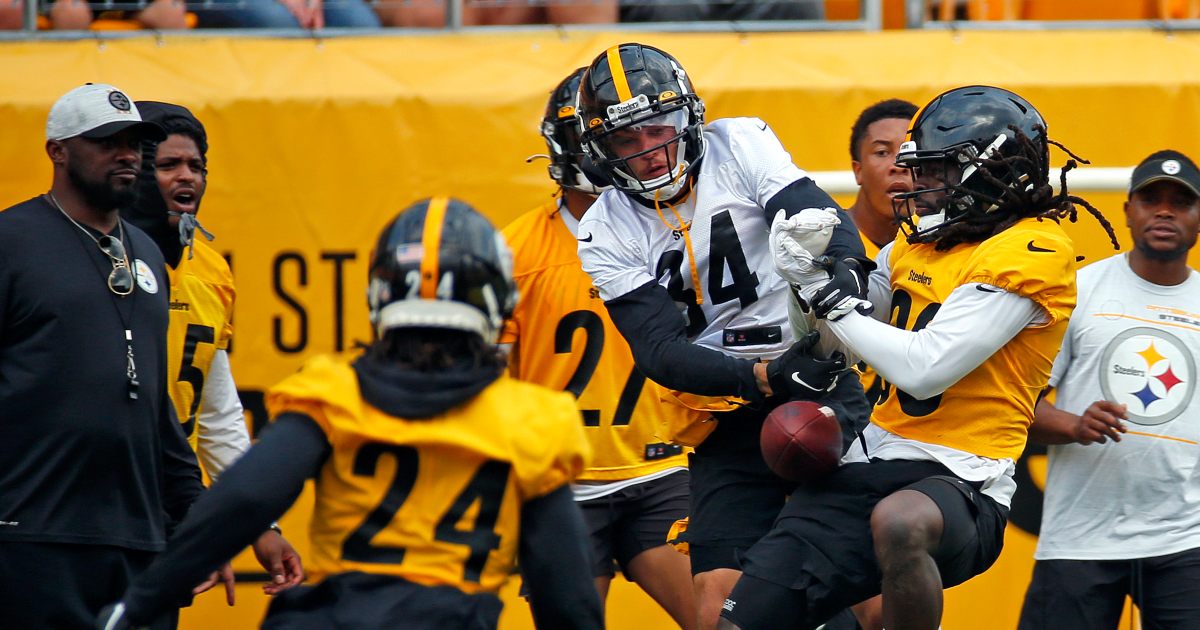 TJ Watt shows up for second day of Steelers OTAs - On3