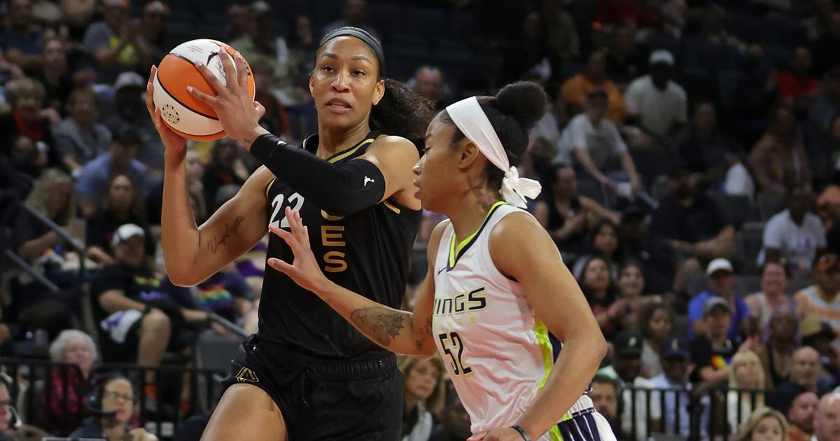 South Carolina women's basketball in the WNBA: Week 13 - On3