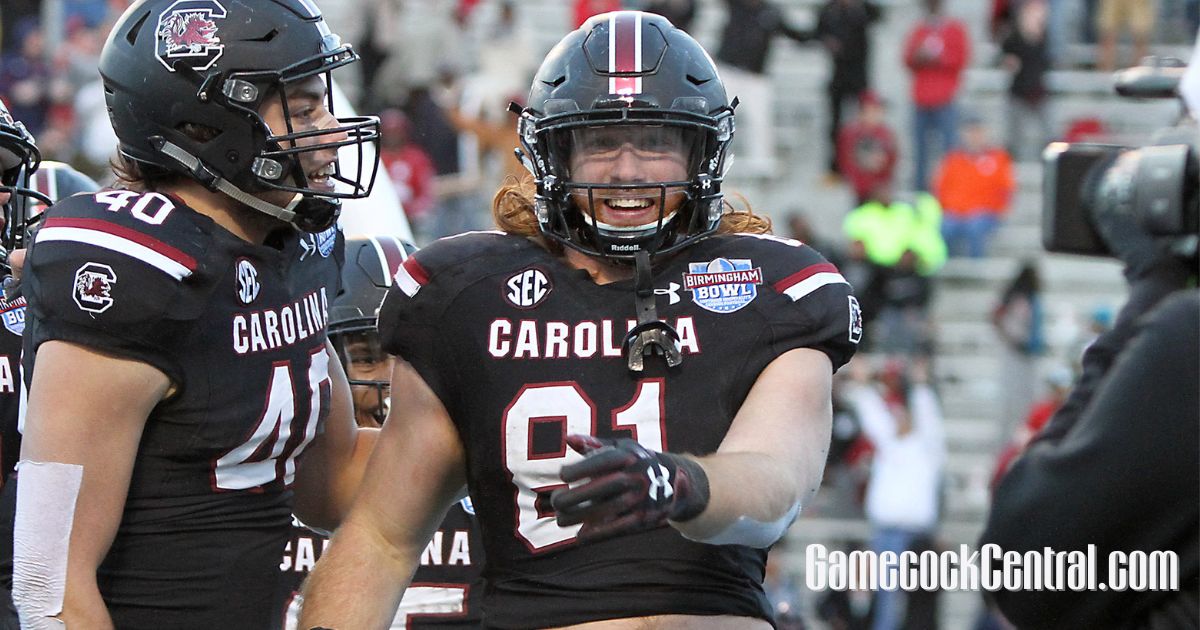 South Carolina football's Hayden Hurst long TV vs Arkansas