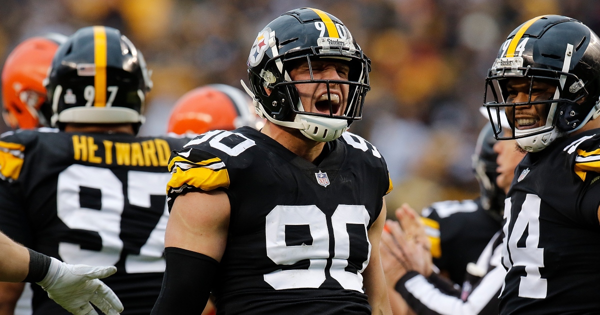 Pittsburgh plunge! Steelers pass rusher T.J. Watt takes accidental dip  while cleaning his pool