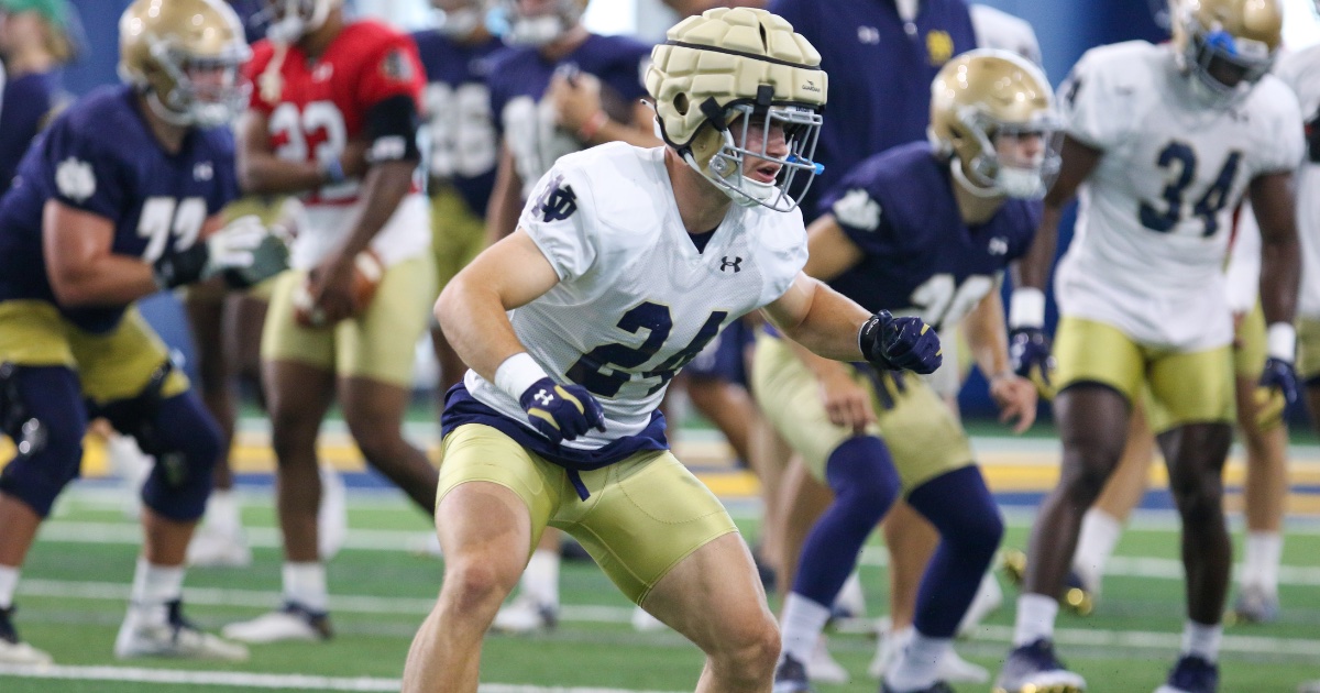 Notre Dame football fall practice No. 1 Observations on the defense