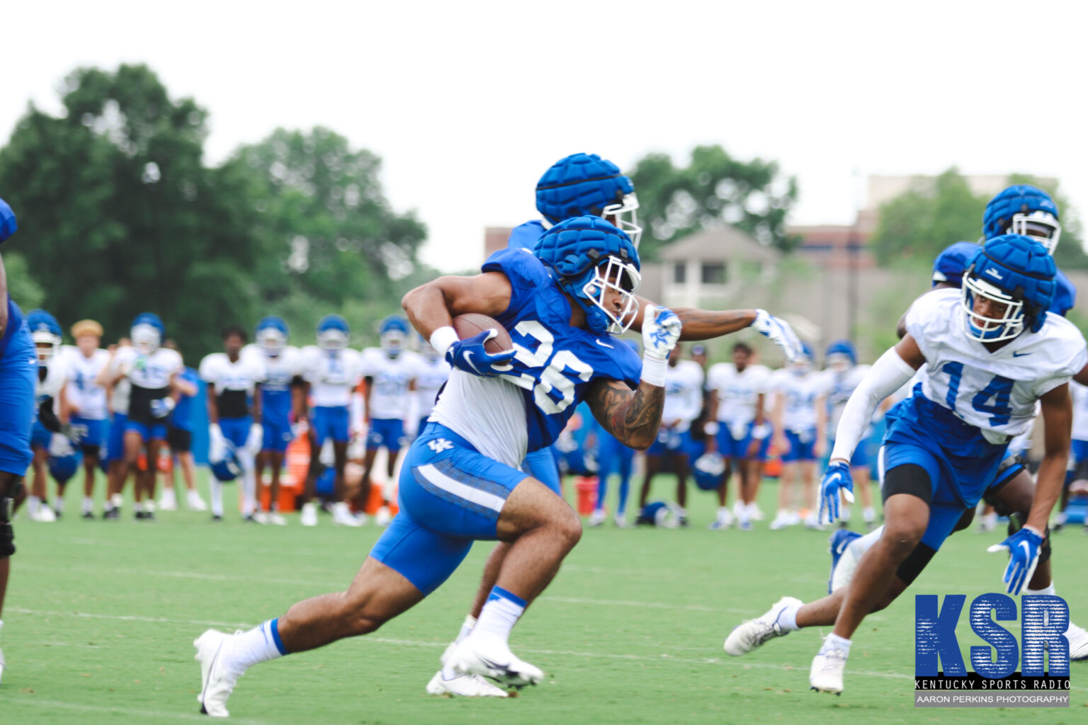 look-photos-from-kentucky-football-fan-day-2022