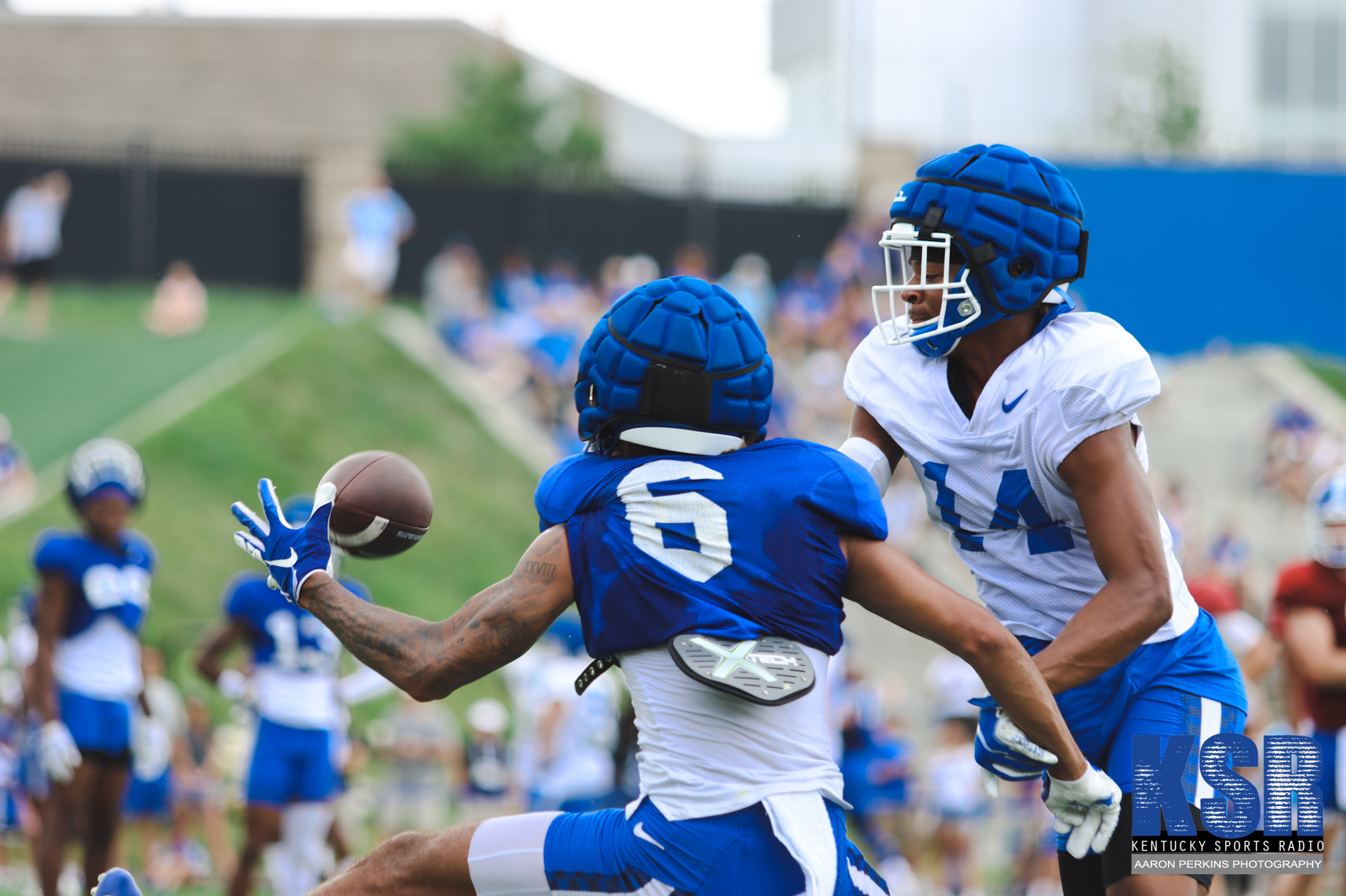 LOOK Photos from Kentucky Football Fan Day 2022