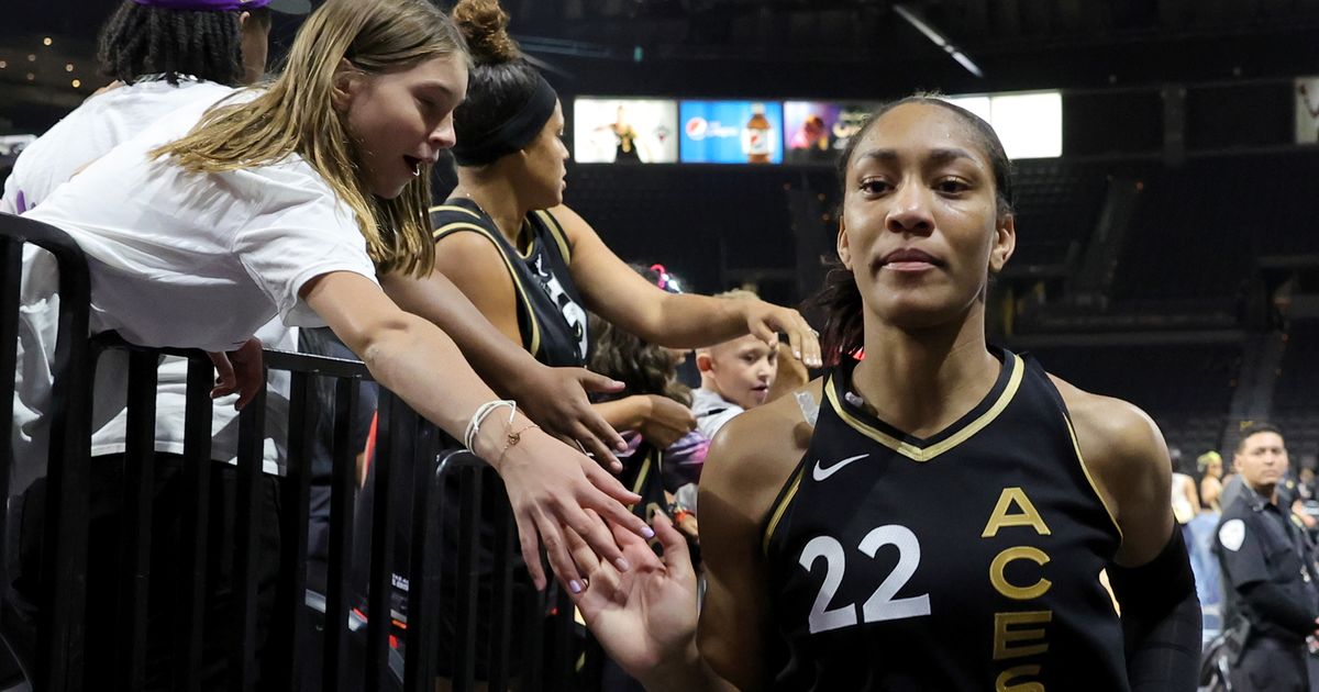 South Carolina women's basketball in the WNBA: Regular season wrap - On3