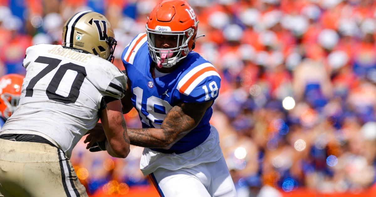 Florida Gators football roster breakdown: Tight End