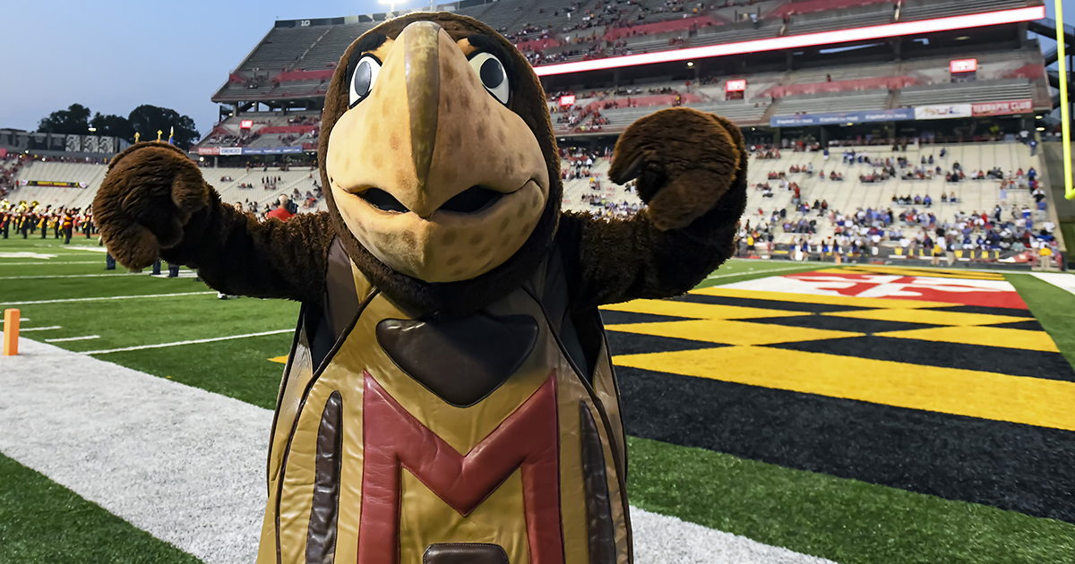 WATCH: Michigan's DJ Turner levels Maryland mascot Testudo after end ...