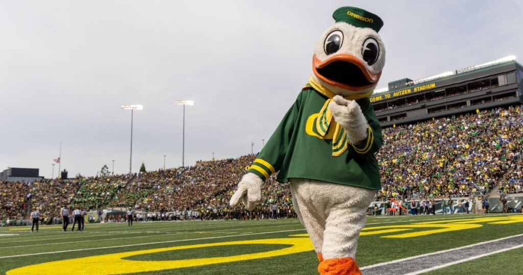 Oregon Duck