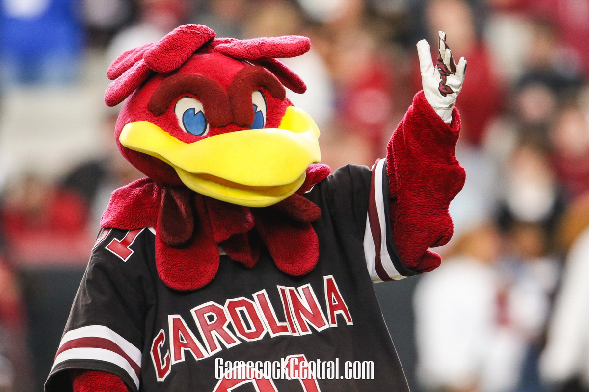 Gamecocks Face Top-Ranked Georgia Saturday on CBS – University of South  Carolina Athletics