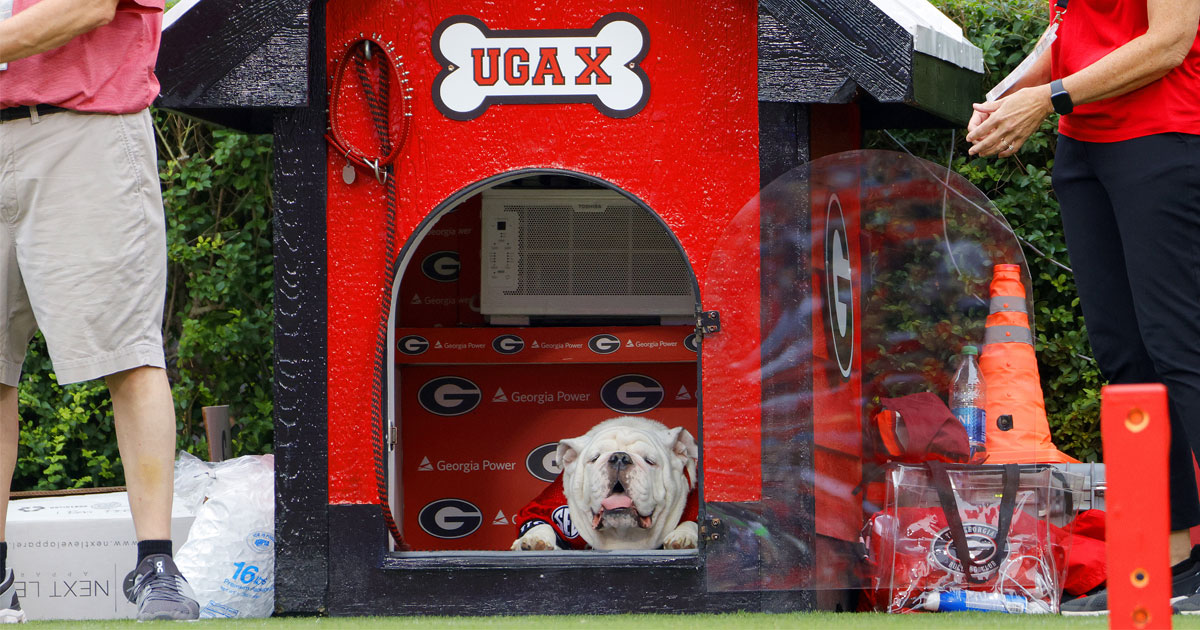 Syndication: Online Athens UGA mascot Uga XI Boom in the field dog house  for the first