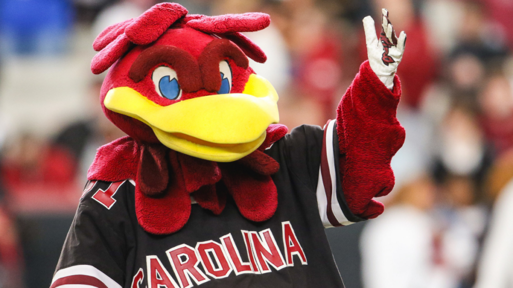 Gamecock Mascot