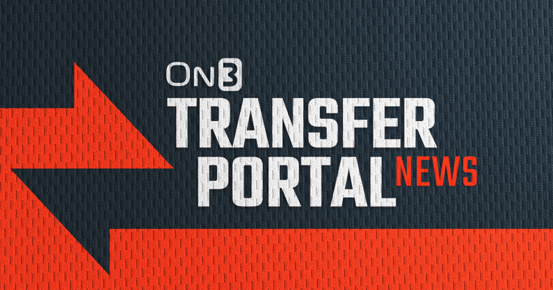 Lsu S Ncaa Transfer Portal Breakdown On3