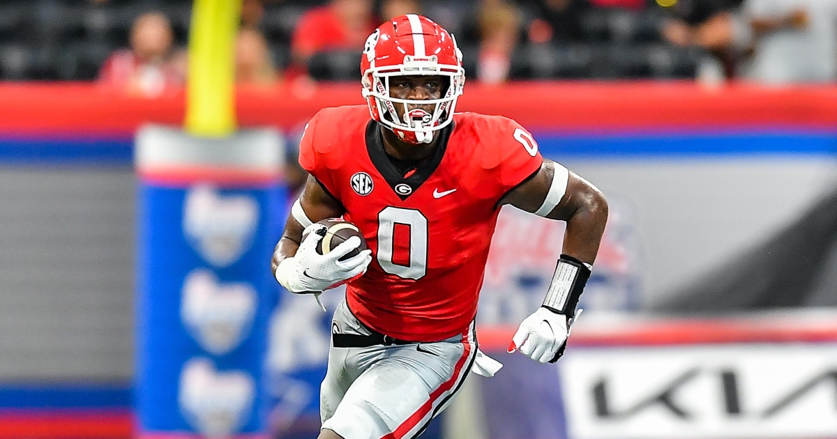 Georgia Draft Profile: Darnell Washington