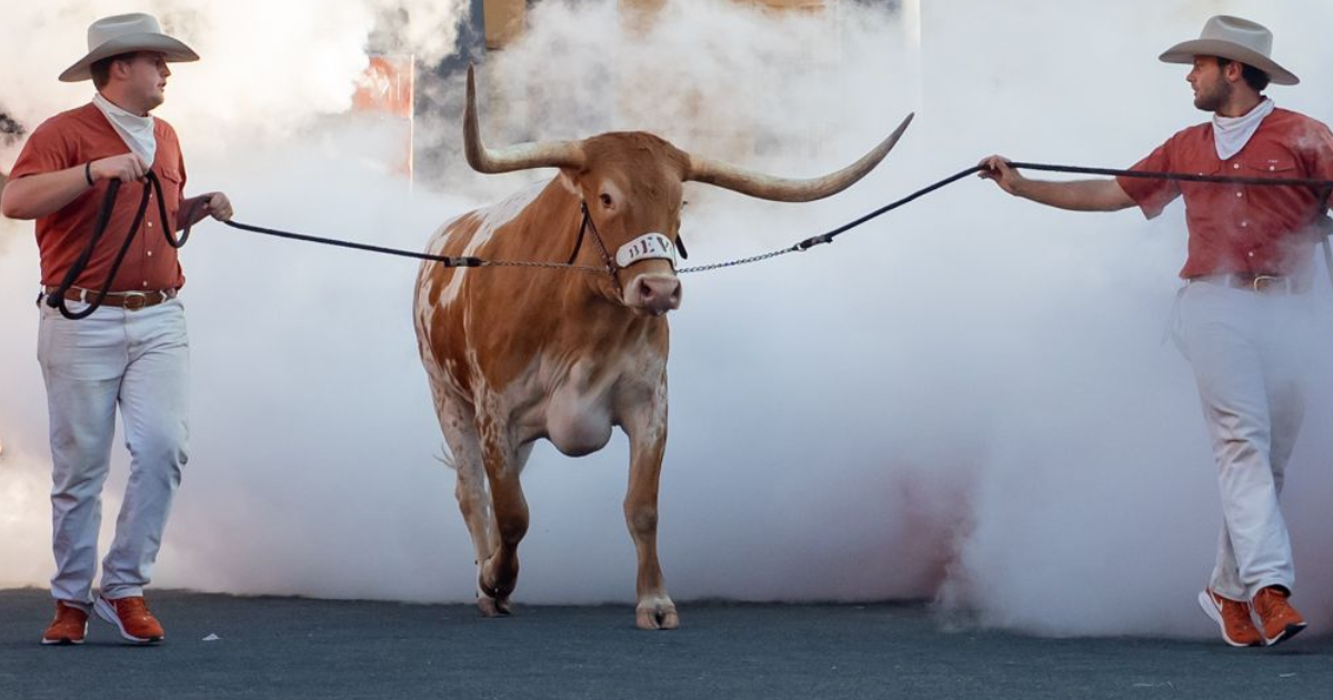 Texas linebacker no longer part of the Longhorn football program - On3