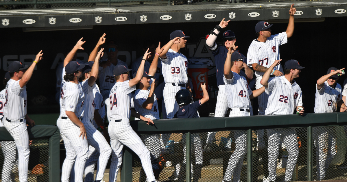 Auburn Baseball Report Card: Grading The Sweep Against Lipscomb