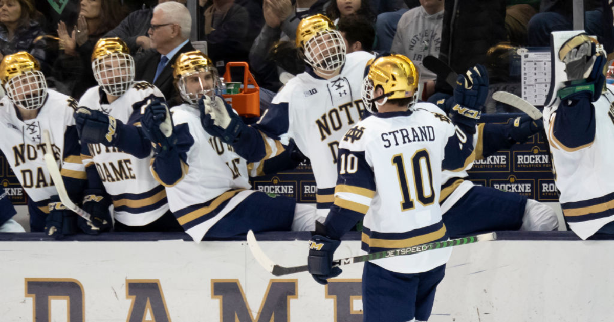 Notre Dame Hockey on Twitter  Sports uniforms, Notre dame, Hockey