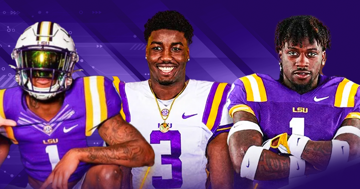 LSU transfer portal team breakdown