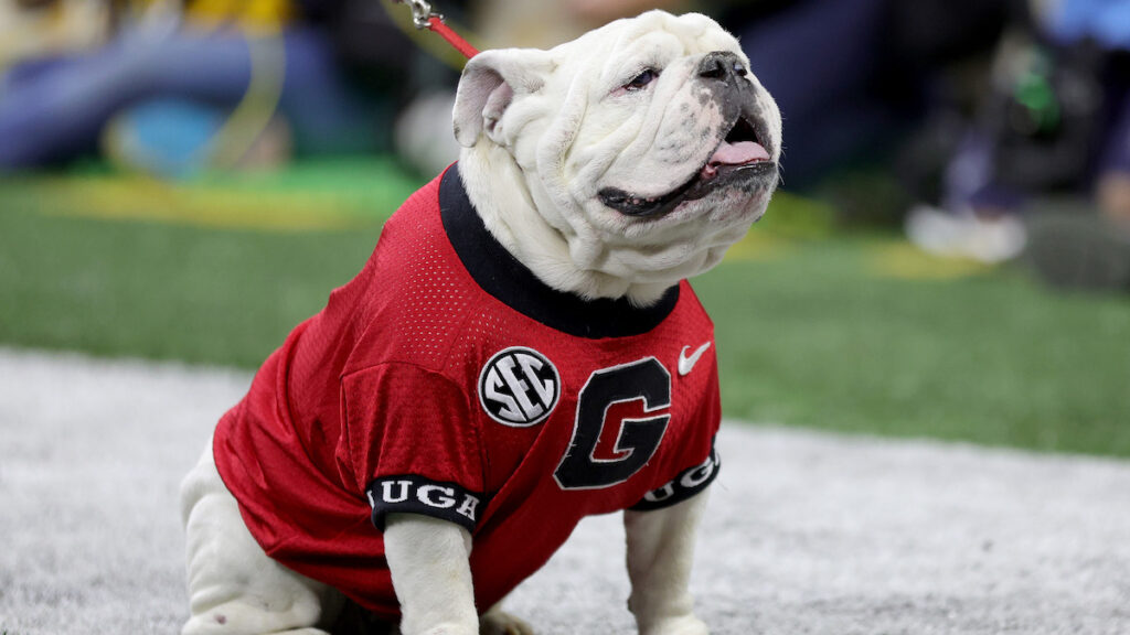 uga Marcus Harrison