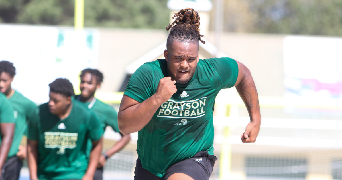 What is Georgia getting in late-portal addition Waltclaire Flynn?