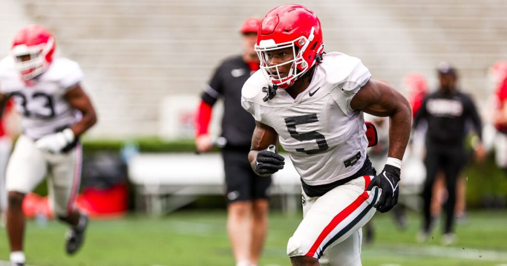 Georgia LB Raylen Wilson