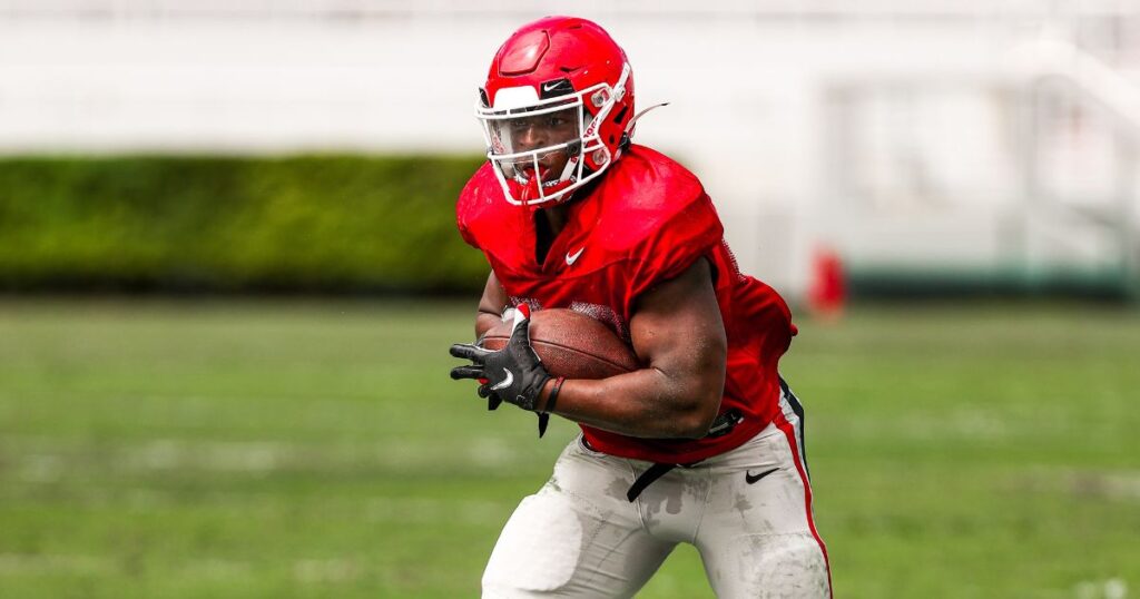 Georgia RB Branson Robinson